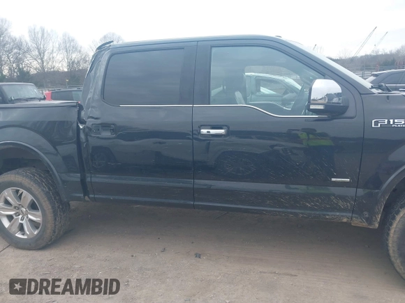 2015 Ford F-150 XLT with VIN 1FTEW1EG4FFC91835, listed as a IAAI auction lot 41585505 with 142,702 mi miles. Bid and sale history available at carsss.com. Image 14.