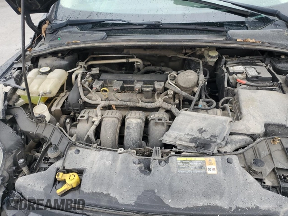 2013 Ford Focus SE with VIN 1FADP3F25DL198883, listed as a Copart auction lot 46290185 with Not Provided miles and Salvage Title. Bid and sale history available at carsss.com. Image 12.