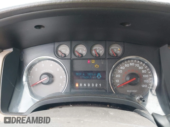 2010 Ford F-150 XL with VIN 1FTEX1E86AFC33157, listed as a IAAI auction lot 42247028 with 177,628 mi miles and . Bid and sale history available at DreamBid. Image 7.
