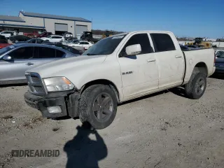 2009 Dodge 1500 SLT with VIN 1D3HV13T09S732119, listed as a Copart auction lot 42344505 with 298,500 mi miles and Salvage Title. Bid and sale history available at carsss.com. Image 1.