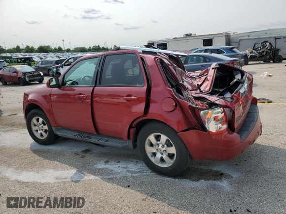 2011 Ford Escape Limited with VIN 1FMCU0EG6BKC48103, listed as a Copart auction lot 58862415 with Not provided miles and Salvage title. Bid and sale history available at DreamBid. Image 2.
