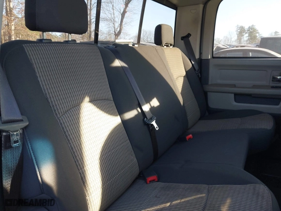 2010 Dodge Ram 1500 SLT with VIN 1D7RB1CP7AS184820, listed as a IAAI auction lot 41338962 with 291,387 mi miles. Bid and sale history available at carsss.com. Image 7.