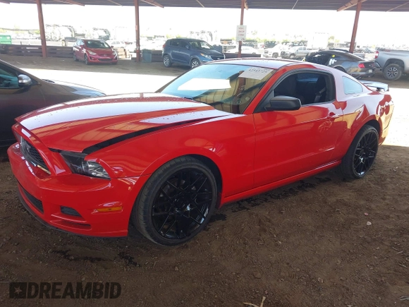 2013 Ford Mustang V6 с VIN 1ZVBP8AM4D5276112, выставлен на аукционе IAAI как лот 42543725 с пробегом Не указан миль и . История ставок и продаж доступна на DreamBid. Изображение 18.