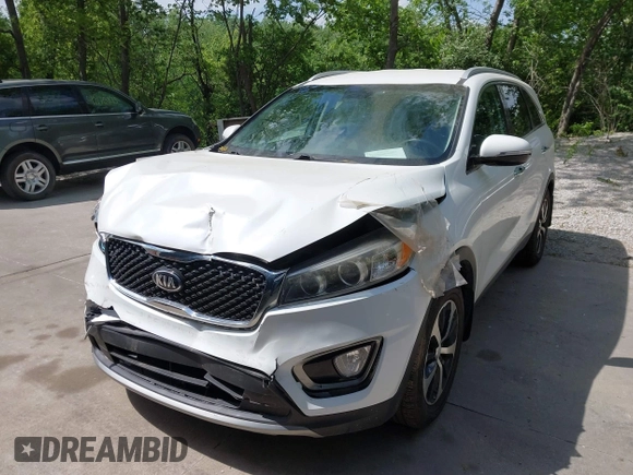 2017 Kia Sorento EX with VIN 5XYPH4A51HG321382, listed as a IAAI auction lot 42299413 with 62,921 mi miles and . Bid and sale history available at DreamBid. Image 12.