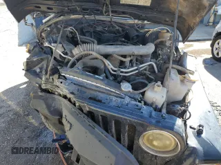 2002 Jeep Wrangler X with VIN 1J4FA39S12P748127, listed as a Copart auction lot 66538073 with Not Provided miles and Non Repairable. Bid and sale history available at carsss.com. Image 11.