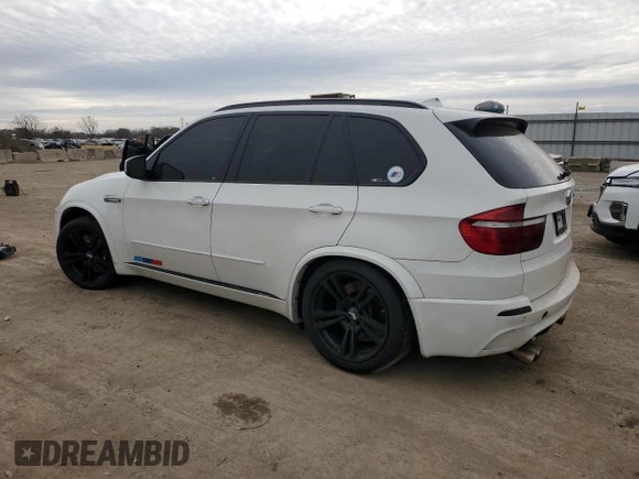 2010 BMW X5 M with VIN 5YMGY0C55ALK25665, listed as a Copart auction lot 82820384 with 118,956 mi miles and Salvage Title. Bid and sale history available at carsss.com. Image 2.