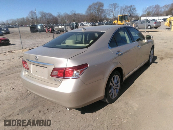 2010 Lexus ES 330 with VIN JTHBK1EG0A2399298, listed as a IAAI auction lot 41853926 with 92,309 mi miles and . Bid and sale history available at DreamBid. Image 4.