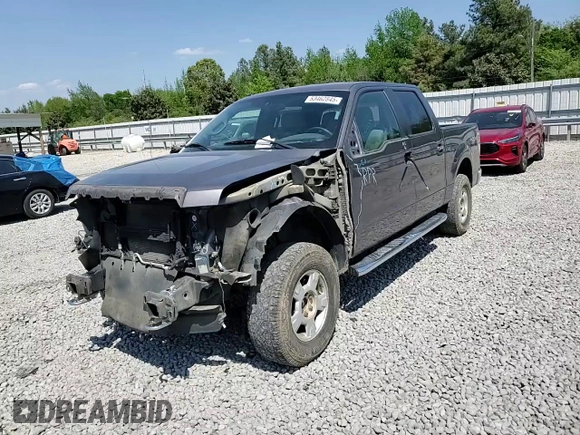 2013 Ford F-150 XL with VIN 1FTFW1EF6DKE27821, listed as a Copart auction lot 53462845 with 247,979 mi miles and Salvage title. Bid and sale history available at DreamBid. Image 12.
