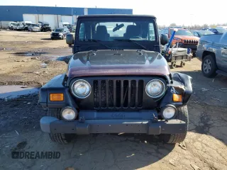 2003 Jeep Wrangler X with VIN 1J4FA39S33P357059, listed as a Copart auction lot 48983315 with 166,532 mi miles and Salvage title. Bid and sale history available at DreamBid. Image 5.