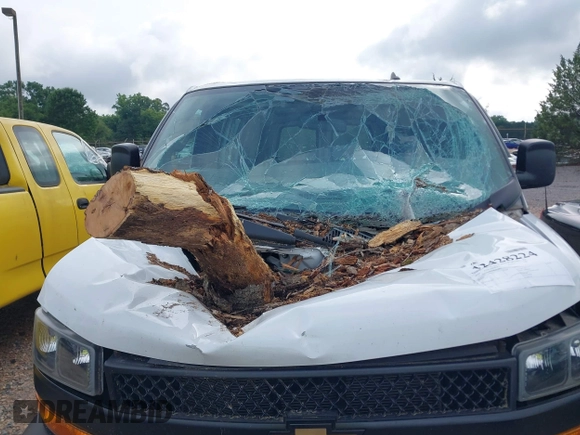 2019 Chevrolet Express Cargo with VIN 1GCWGAFG7K1372805, listed as a IAAI auction lot 42428224 with 23,949 mi miles and . Bid and sale history available at DreamBid. Image 6.