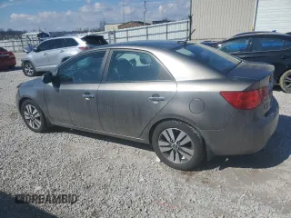 2013 Kia Forte EX with VIN KNAFU4A25D5672809, listed as a Copart auction lot 46978785 with 175,173 mi miles and Salvage Title. Bid and sale history available at carsss.com. Image 2.