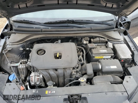 2019 Hyundai Elantra SE with VIN 5NPD74LFXKH489078, listed as a Copart auction lot 48174455 with 114,627 mi miles and Salvage Title. Bid and sale history available at DreamBid. Image 11.