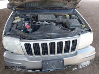 2000 Jeep Grand Cherokee Limited z VIN 1J4GW58N1YC206992, wystawiony jako IAAI lot #42057236 z przebiegiem 183 986 mil mil oraz . Historia ofert i sprzedaży dostępna na DreamBid. Obrazek 10.