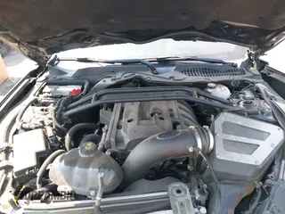 2018 Ford Mustang EcoBoost with VIN 1FA6P8TH0J5171587, listed as a IAAI auction lot 42591299 with Not provided miles and . Bid and sale history available at DreamBid. Image 10.