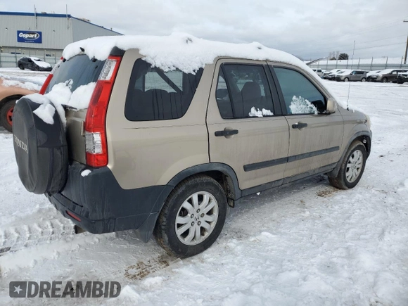 2005 Honda CR-V EX with VIN JHLRD78875C011360, listed as a Copart auction lot 45798665 with 243,679 mi miles and Salvage Title. Bid and sale history available at DreamBid. Image 3.