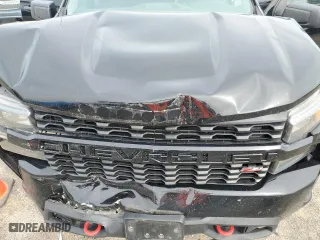 2019 Chevrolet Silverado 1500 Custom Trail Boss with VIN 3GCPYCEH4KG201678, listed as a Copart auction lot 72026174 with 67,257 mi miles and Salvage Title. Bid and sale history available at carsss.com. Image 11.