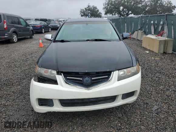 2004 Acura TSX with VIN JH4CL96854C031060, listed as a Copart auction lot 42148275 with 186,661 mi miles and Salvage Title. Bid and sale history available at carsss.com. Image 5.