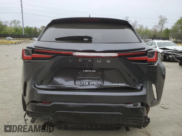 2022 Lexus NX with VIN 2T2AKCEZ2NC008259, listed as a Copart auction lot 51736654 with 30,769 mi miles. Bid and sale history available at carsss.com. Image 6.