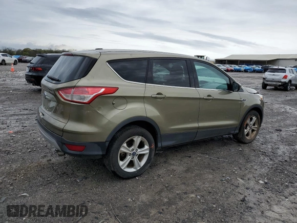 2014 Ford Escape SE with VIN 1FMCU0GX2EUA44369, listed as a Copart auction lot 51190805 with 117,975 mi miles and Salvage Title. Bid and sale history available at carsss.com. Image 3.