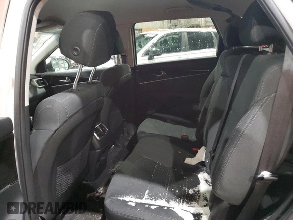 2020 Kia Sorento LX V6 with VIN 5XYPGDA51LG700748, listed as a Copart auction lot 50105295 with 43,620 mi miles and Salvage Title. Bid and sale history available at carsss.com. Image 10.