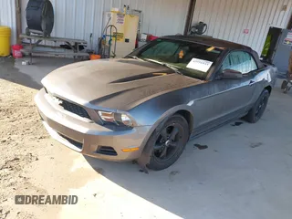 2010 Ford Mustang V6 with VIN 1ZVBP8ENXA5171928, listed as a IAAI auction lot 42556844 with 168,509 mi miles and . Bid and sale history available at DreamBid. Image 2.