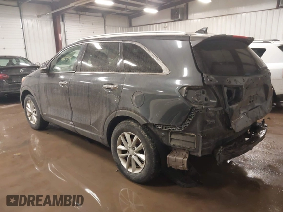 2016 Kia Sorento LX with VIN 5XYPGDA37GG016629, listed as a IAAI auction lot 41627759 with 80,558 mi miles and . Bid and sale history available at DreamBid. Image 3.