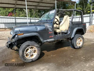 1994 Jeep Wrangler S with VIN 1J4FY19PXRP438743, listed as a Copart auction lot 70693064 with 94,401 mi miles and Salvage Title. Bid and sale history available at carsss.com. Image 1.