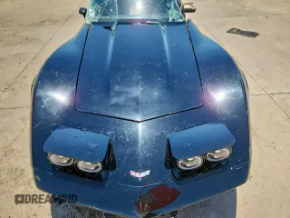 1979 Chevrolet Corvette with VIN 1Z8749S451738, listed as a Copart auction lot 59313215 with 29,000 mi miles and Salvage title. Bid and sale history available at DreamBid. Image 11.