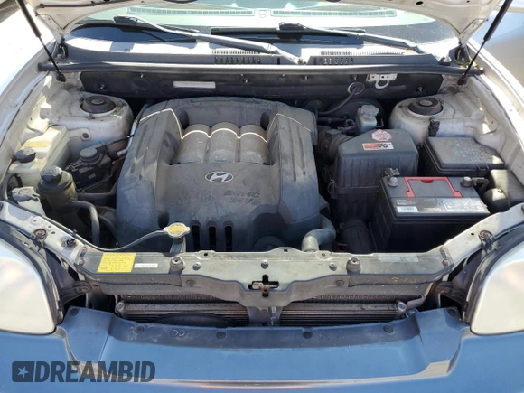 2003 Hyundai Santa Fe GLS with VIN KM8SC73DX3U518567, listed as a Copart auction lot 44335265 with 161,003 mi miles and Salvage Title. Bid and sale history available at carsss.com. Image 11.