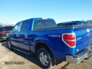 2009 Ford F-150 XL with VIN 1FTPW14V59KC52255, listed as a IAAI auction lot 42123114 with 190,641 mi miles and . Bid and sale history available at DreamBid. Image 14.