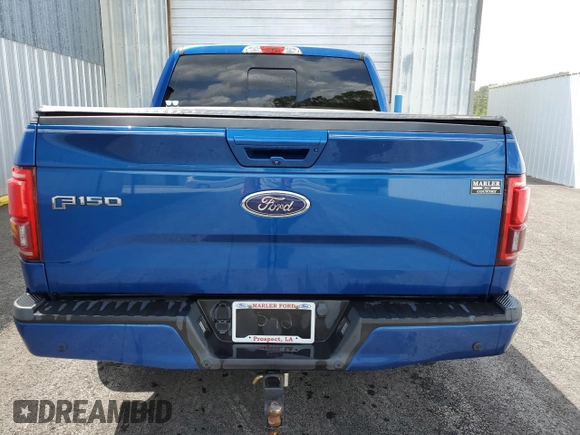 2017 Ford F-150 XL with VIN 1FTEW1CPXHFA13592, listed as a Copart auction lot 51649935 with 104,324 mi miles and Clean Title. Bid and sale history available at carsss.com. Image 6.