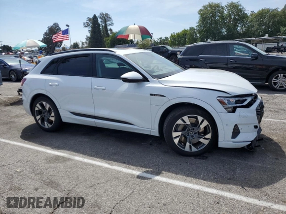 2022 Audi e-tron Premium with VIN WA1AAAGE3NB013467, listed as a Copart auction lot 47391893 with 22,979 mi miles. Bid and sale history available at carsss.com. Image 4.