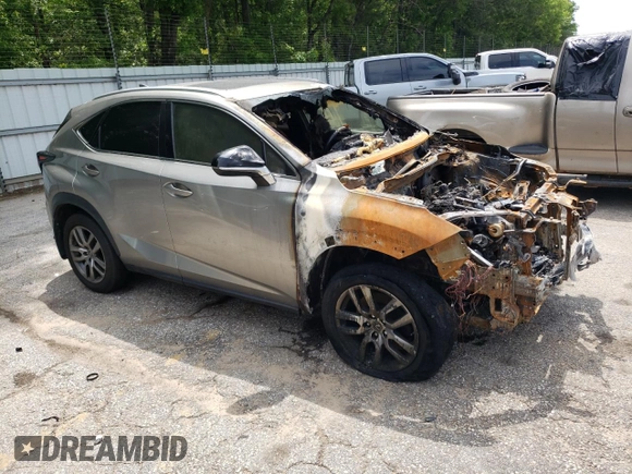2019 Lexus NX 300 with VIN JTJBARBZ2K2189373, listed as a Copart auction lot 54381935 with Not provided miles and Salvage title. Bid and sale history available at DreamBid. Image 4.
