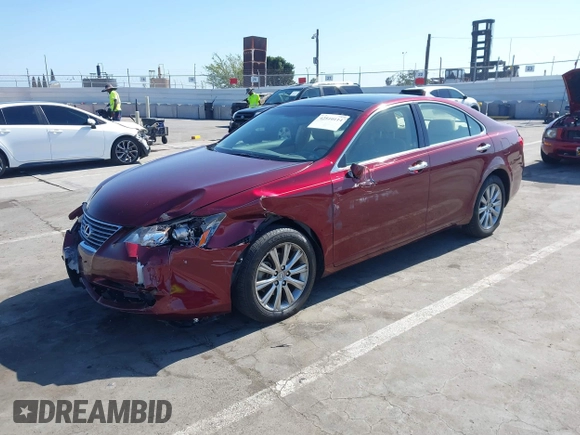2008 Lexus ES 330 with VIN JTHBJ46G282157996, listed as a IAAI auction lot 42510114 with 70,549 mi miles and . Bid and sale history available at DreamBid. Image 19.
