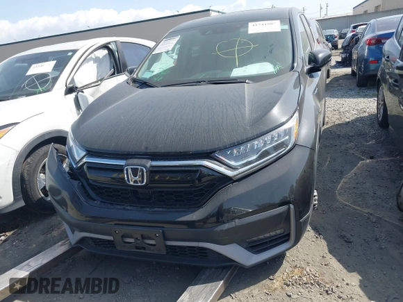 2020 Honda CR-V EX with VIN 7FART6H51LE019894, listed as a IAAI auction lot 41741587 with Not Provided miles and . Bid and sale history available at DreamBid. Image 12.