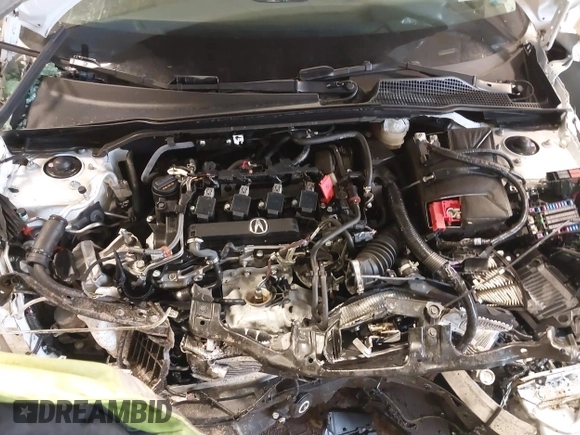 2025 Acura Integra with VIN 19UDE4H22SA004873, listed as a IAAI auction lot 41737194 with 2,377 mi miles and . Bid and sale history available at DreamBid. Image 10.