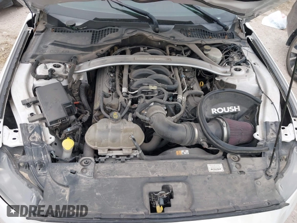 2017 Ford Mustang GT with VIN 1FA6P8CF1H5202970, listed as a IAAI auction lot 41928092 with 98,539 mi miles and . Bid and sale history available at DreamBid. Image 10.