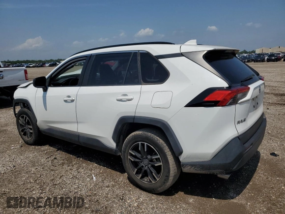 2019 Toyota RAV4 LE with VIN JTMH1RFV6KJ010214, listed as a Copart auction lot 54684325 with 0 mi miles and Clean Title. Bid and sale history available at carsss.com. Image 2.