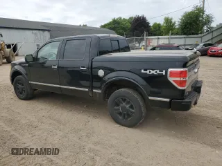 2010 Ford F-150 XL with VIN 1FTFW1EV7AFD41557, listed as a Copart auction lot 62374285 with 238,760 mi miles and Clean title. Bid and sale history available at DreamBid. Image 2.