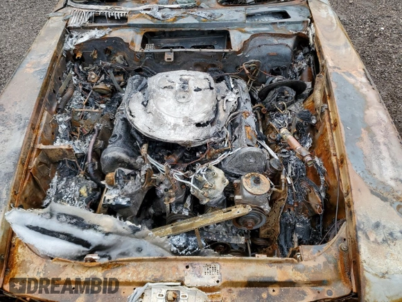 1989 Mercedes-Benz 560 SL с VIN WDBBA48D3KA104286, выставлен на аукционе Copart как лот 81575024 с пробегом Не указан миль и На запчасти • Non repairable. История ставок и продаж доступна на DreamBid. Изображение 11.