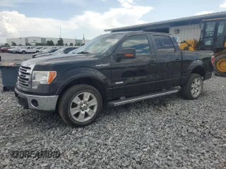 2013 Ford F-150 XL with VIN 1FTFW1ET1DFB73675, listed as a Copart auction lot 62028965 with 204,253 mi miles and Salvage title. Bid and sale history available at DreamBid. Image 1.