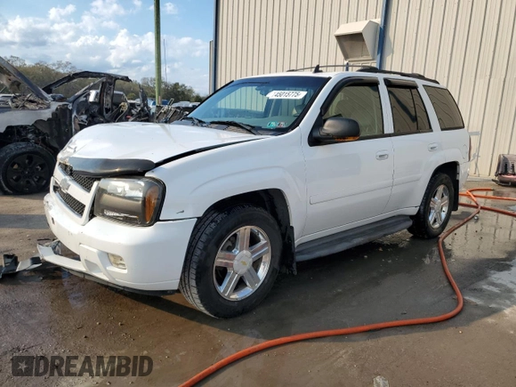 2008 Chevrolet TrailBlazer 1LT with VIN 1GNDT13S082260885, listed as a Copart auction lot 45015775 with 167,869 mi miles and Salvage Title. Bid and sale history available at DreamBid. Image 1.