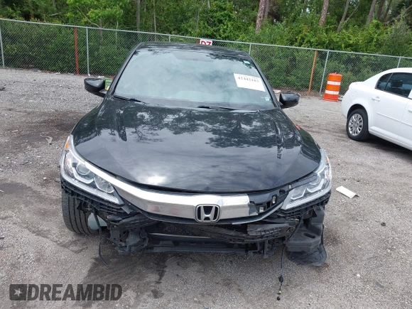2016 Honda Accord Sport с VIN 1HGCR2F53GA035171, выставлен на аукционе IAAI как лот 42442183 с пробегом 123 459 миль миль и . История ставок и продаж доступна на DreamBid. Изображение 13.