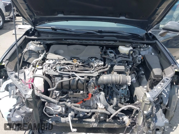 2025 Toyota Camry LE with VIN 4T1DAACK8SU546764, listed as a IAAI auction lot 41981231 with 2,338 mi miles and . Bid and sale history available at DreamBid. Image 10.