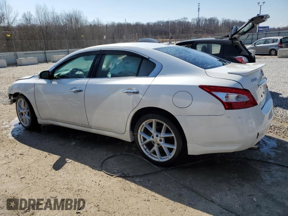 2009 Nissan Maxima SV with VIN 1N4AA51E89C830283, listed as a Copart auction lot 47377795 with 232,182 mi miles and Non Repairable. Bid and sale history available at DreamBid. Image 2.