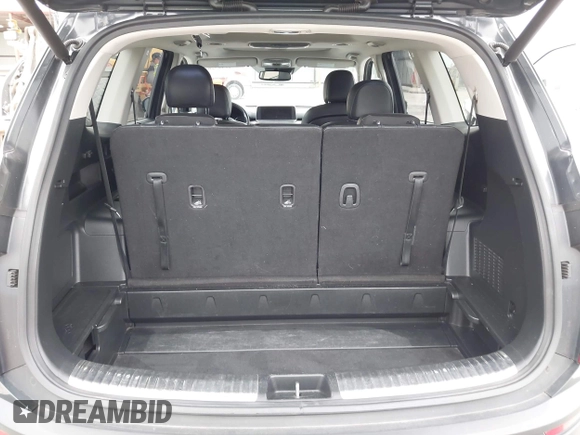 2021 Kia Telluride SX with VIN 5XYP5DHC9MG095972, listed as a IAAI auction lot 42345283 with 125,548 mi miles and . Bid and sale history available at DreamBid. Image 17.