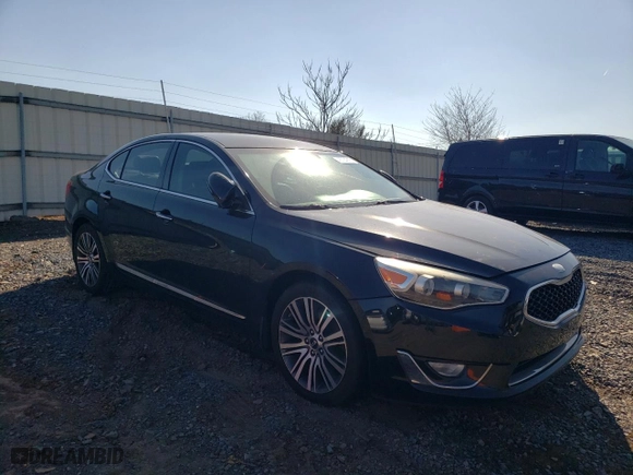 2014 Kia Cadenza Premium with VIN KNALN4D75E5125547, listed as a Copart auction lot 48724215 with 164,755 mi miles and Salvage Title. Bid and sale history available at carsss.com. Image 4.