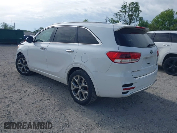 2017 Kia Sorento SXL z VIN 5XYPK4A58HG251610, wystawiony jako IAAI lot #42351313 z przebiegiem 147 527 mil mil oraz . Historia ofert i sprzedaży dostępna na DreamBid. Obrazek 3.