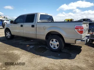 2010 Ford F-150 XL with VIN 1FTEW1C87AKA25821, listed as a Copart auction lot 49008285 with Not Provided miles and Salvage Title. Bid and sale history available at carsss.com. Image 2.