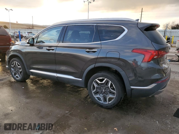 2021 Hyundai Santa Fe Limited with VIN 5NMS4DAL0MH315822, listed as a Copart auction lot 87260094 with 30,253 mi miles and Salvage Title. Bid and sale history available at carsss.com. Image 2.